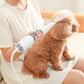 Rainy Sale🔥3 in 1 Pet Hair Dryers And Comb Brush!