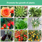 💥Last Day Promotion 49%OFF💥 Slow-Release Organic Fertilizer In Stick Form For Indoor Plants(BUY 5 GET 10 FREE)