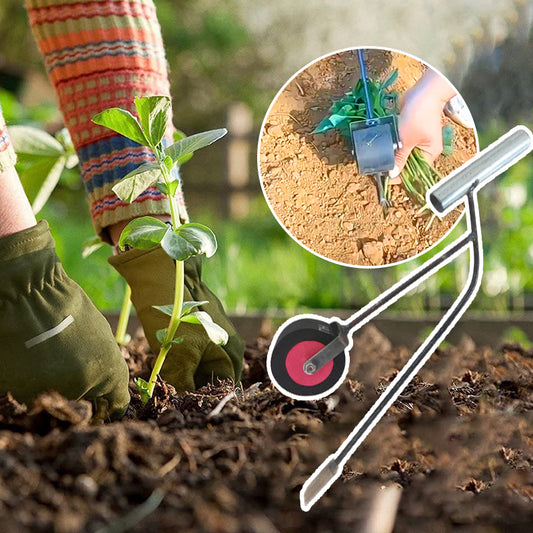 Sweet potato seedling planting tool with wheels
