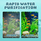 💥Limited Time Half Price-Aquarium Silent Motorized Filter🐟