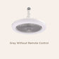 🎁Remote Control Aromatherapy Ceiling Fan with Light