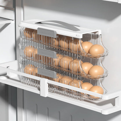 Egg organizer - stores and protects your precious eggs