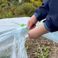 Garden Butterfly Clamps with Small Arch