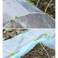 Garden Butterfly Clamps with Small Arch