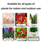 Universal Plant Rapid Rooting Liquid Fertilizer