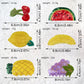 Creative Fruit Hair Claw Clips Set