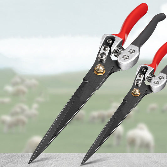 Precision Wool Shears