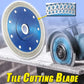 Grinder Porcelain Blade