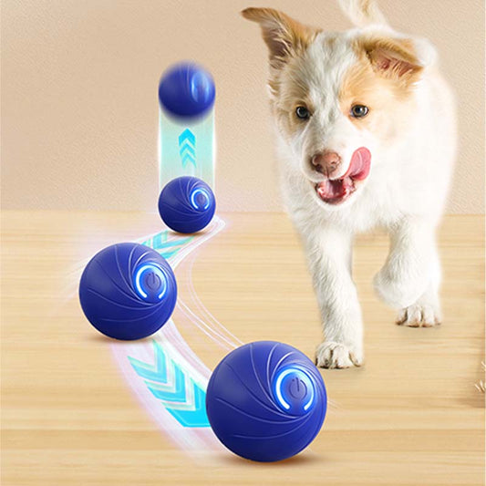 Rechargeable Pet Interactive Motion Ball with Lights