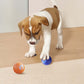 Rechargeable Pet Interactive Motion Ball with Lights