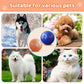 Rechargeable Pet Interactive Motion Ball with Lights