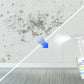 Powerful Multi-purpose Mold Removal Cleaner Spray