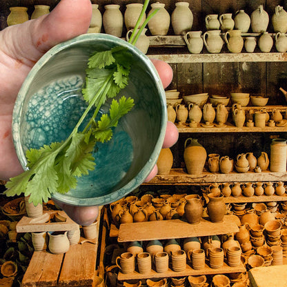 Beautifully Practical Decorative Pottery Herb Stripper