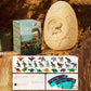 Dinosaur Eggs Excavation Kit for Kids