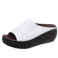 Open-Toe Chunky Heel Sandals for Women