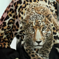 Leopard Unique Print Zipper Drawstring Hem Jacket