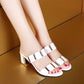 Women's Fashion Chunky Heel Sandals