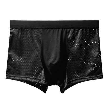 Comfortable Breathable Mesh Boxer Briefs for Men