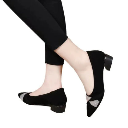 Women's Pointed Toe Low-Heel Shoes