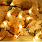 Cute Bee Solar Lights