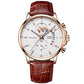 Men’s Luminous Waterproof Quartz Watch
