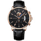 Men’s Luminous Waterproof Quartz Watch