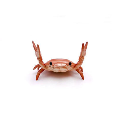 🔥LAST DAY 50% OFF💥❤️🤣 Funny Hot Sale - 🦀 Cute crab-shaped pen holder