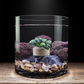 Aquatic Plant Holder Ring Set