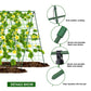 A-Frame Garden Trellis for Climbing Plants