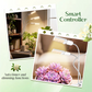 LED Plant Grow Light with Timer & Clamp