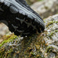 Men's Lightweight Hiking Shoes