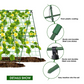 A-Frame Garden Trellis for Climbing Plants