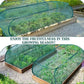 Pop-Up Plant Protection Mesh Cover