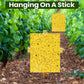 Super-Sticky Double-Sided Insect Traps (20 Pack)