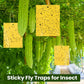 Super-Sticky Double-Sided Insect Traps (20 Pack)