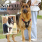 No Pull Dog Harness with Leash & Collar LED