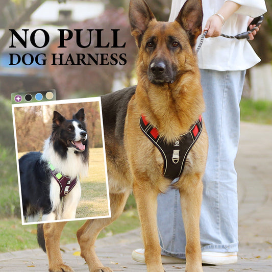 No Pull Dog Harness with Leash & Collar LED