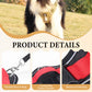 No Pull Dog Harness with Leash & Collar LED