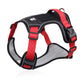 No Pull Dog Harness with Leash & Collar LED