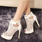 Lace Mesh Peep-Toe Platform High Heels
