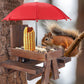 Mini Squirrel Feeder Picnic Table with Umbrella