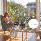 Decorative Suncatcher Hanging Set
