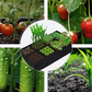 Divided Fabric Grow Bags for Plants