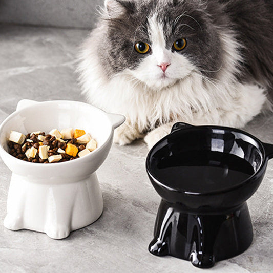 Ergonomic Elevated Cute Cat Bowl
