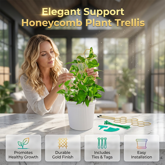 Creative Honeycomb Metal Plant Support Stakes