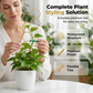 Creative Honeycomb Metal Plant Support Stakes