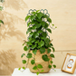 Creative Honeycomb Metal Plant Support Stakes