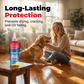 Floor polish