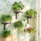 Wall-Mounted Metal Bird Bath Basin