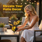 Solar-Powered Hanging Bee Light